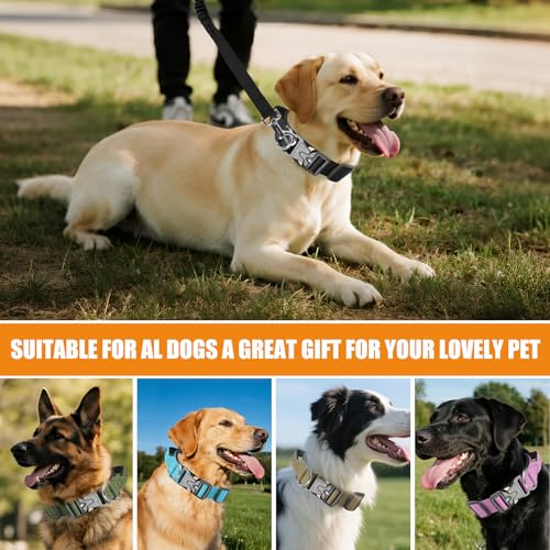 Taktisches Halsband Hund mit Griff & Leine, Hundehalsband Breit Gepolstert mit Metallschnalle, Verstellbar Nylon Dog Collar für Mittlere Große Hunde