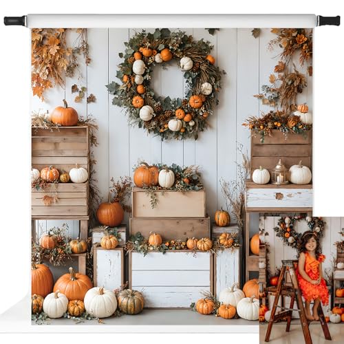 Toile de fond photo citrouilles Kate pour un Thanksgiving chaleureux