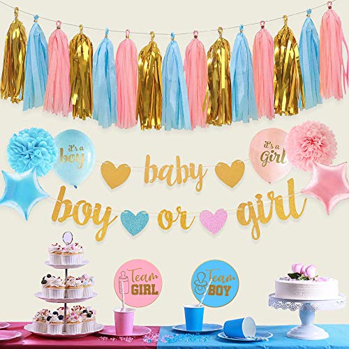 Image of Gender Reveal Decorations with Baby Banner and Boy or Girl Sign 17pcs
