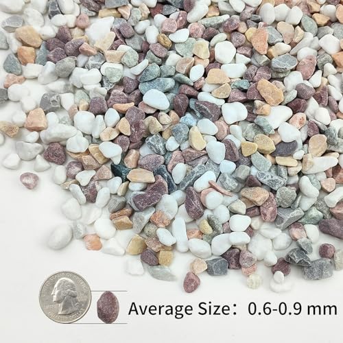 Image of 2lbs Mixed Color Pebbles for Plants, 3 /8inch Small Rocks for Succulent Cactus Planters, Natural Polished Pebbles, River Rocks for Plants, Vases, Garden