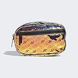 adidas Originals Originals Iridescent Waist Pack, Radiant Metallic Forum Monogram Small/Black, One...