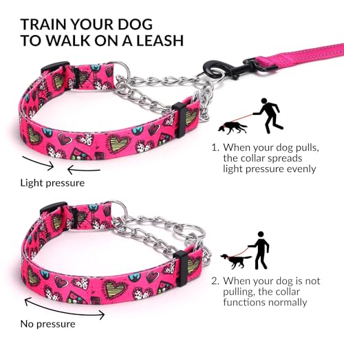 Ensemble collier martingale et laisse NO27 en acier inoxydable durable - 6