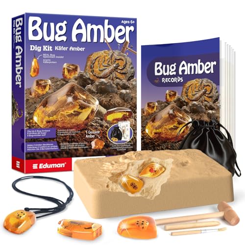 EDUMAN Kit de Excavación de Ámbar, Juego de Excavación de Fósiles y Minerales, Juguetes Educativos de Ciencia, Regalos para Niños y Niñas a Partir de 6 Años (Insectos)