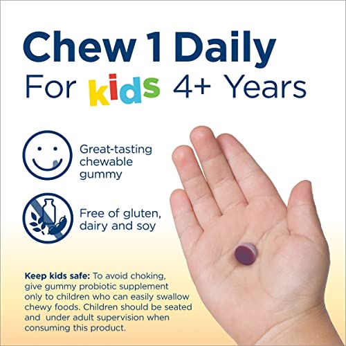 Renew Life Kids Raspberry Prebiotic And Probiotic Gummies, Daily Supplement For Digestive And Immune Health, B. Coagulans And B. Subtilis, Dairy, Soy And Gluten-Free, 1 Billion Cfu 30 Count #TOP4