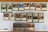 Elite Angel Deck - Mono White - Very Powerful - Modern Legal - Custom Built - Magic The Gathering - MTG - 60 Card!