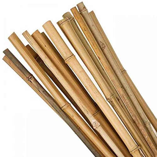Muddy Hands Heavy Duty Strong Bamboo Canes Garden Plant Support Trellis Pole Stake Sticks (5, 5ft, 10-12mm)