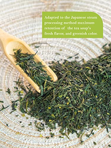 Image of TeeLux Sencha Green Tea, Shade Grown Gyokuro Green Tea Loose Leaf, Steamed Tea, Smooth & Refreshing Taste, 114g /4oz