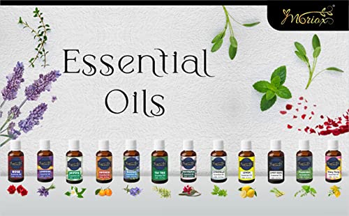 Moriox Aromas Rose,Lavender & Tea Tree essential oils for Hair,Skin & Aromatherapy 100% Pure & Natural Oils (15ml) (Pack of 3) - Image 7