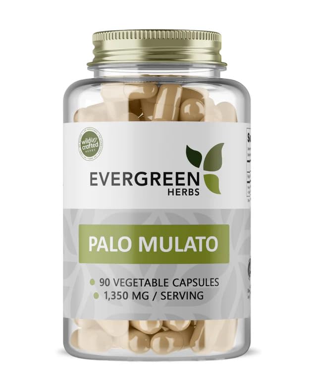 Palo Mulato Capsules - 1350 mg per Serving (450 mg Each Capsules) Wildcrafted Mexican Herbal Capsules - Tamper Proof Seal to Ensure Freshness