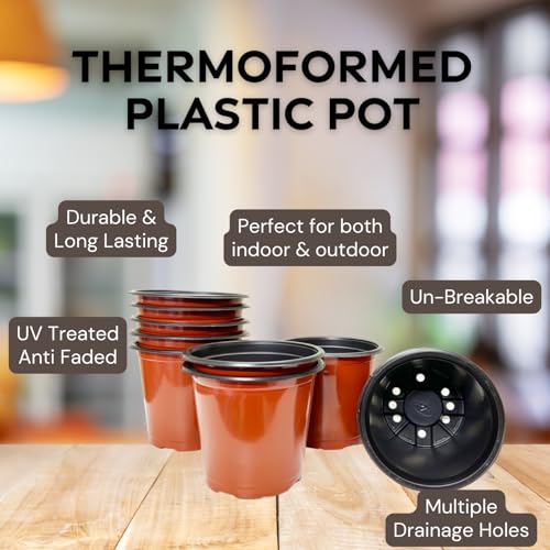 Image of Thermoformed Plastic Flower Pots, Durable, Flexible, Unbreakable, Multiple Drainage Holes, Best for Indoor Plants, Terrace Garden, Nursery (Pack of 30, 6 Inch)