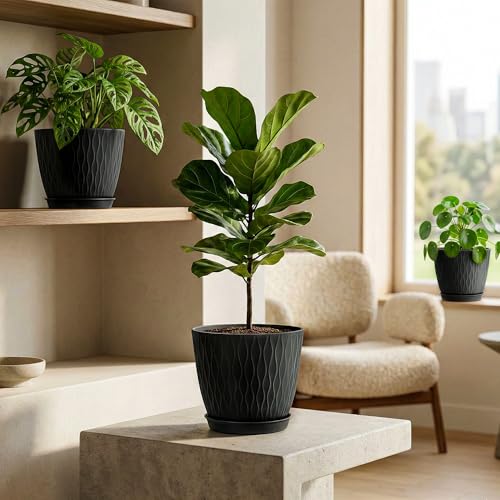 Image of Eightiz (Pack of 5 6 Inch Plastic Flower Pots for Indoor & Outdoor Terrace,Garden Plants Decorative Planters with Drainage Holes & Matching Saucers Durable & Lightweight (Black)