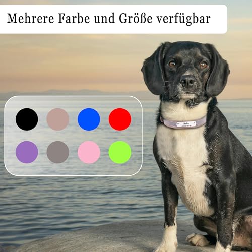 Reflektierend Halsband für Hunde aus Leder Personalisierte Hundehalsband mit Namen Gravur Hellbraun Halsband mit Namenschild für den kleinen Hund, Hundehalsbänder S