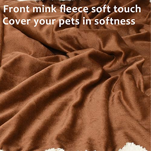 Pawsee Fleece Haustierdecke Flauschig Waschbar Sherpa Plüsch Kuscheldecke Hundebett für Hunde Welpen Katzen, 114 x 76cm