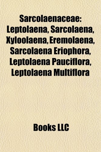Sarcolaenaceae Leptolaena, Sarcolaena, Xyloolaena, Eremolaena
