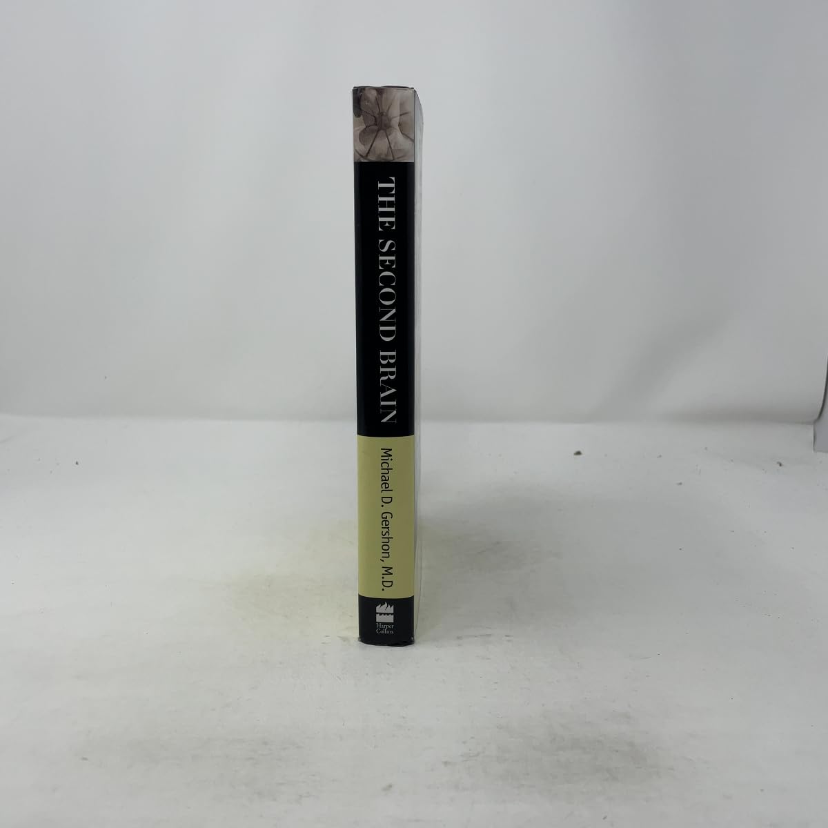Amazon.com: Michael D. Gershon: books, biography, latest update