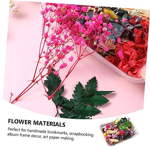 Flores secas prensadas reales para manualidades miniatura 6
