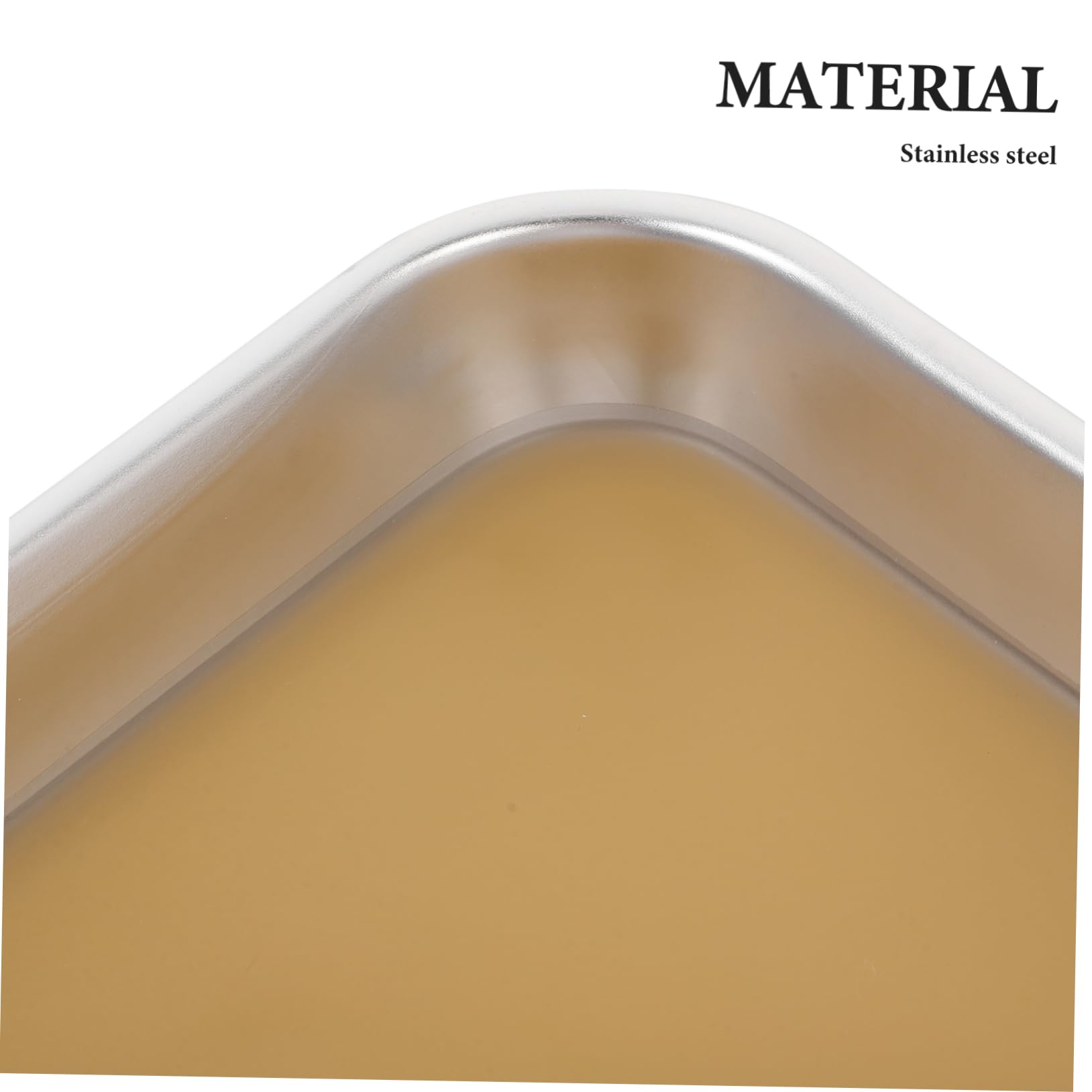 MAGICLULU Vassoio Di Dissezione in Metallo Inox 304 Per Laboratorio Biologico, Piastra Per Studio Del Corpo in Metallo Resistente, Vaschetta Per Dissezione Con Cera Per Scuole Medie e Superi