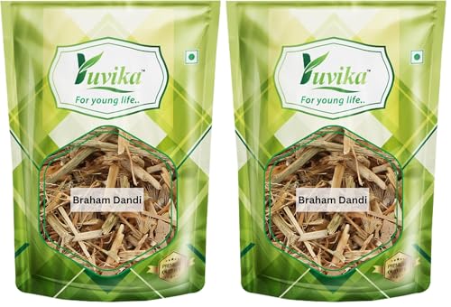 Image of YUVIKA Braham Dandi - Brahm Dandi - Barham Dandi - Tricholepis Angustifolia (200 Grams) (Pack of 2)