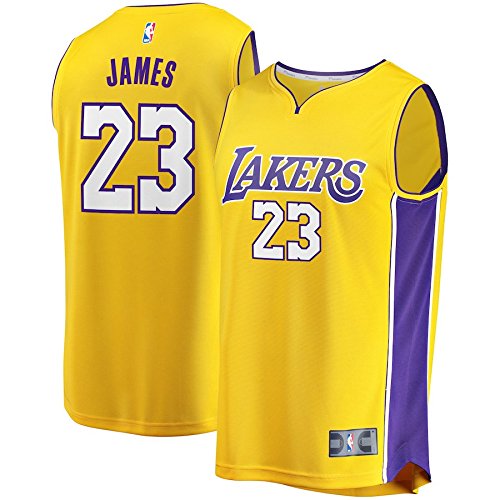 mitchell and ness lebron lakers