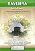 Ravenna : pianta della citta (English and Spanish and French and Italian Edition)