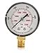 Pressure Gauge, Test, 2 in