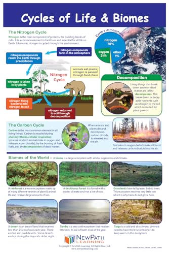 Image of NewPath Learning Grade 5 Science Anchor Charts - Set of 10 (12x18 inch) & 25-Page Resource Guide Covering Advanced Life, Earth & Physical Science For Classroom & Homeschool Use (94-9950)
