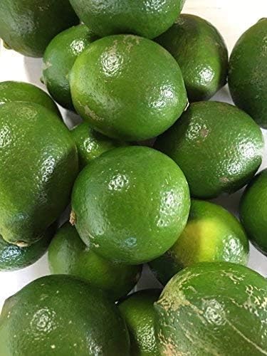 Amazon わけあり品 農薬 防腐剤 防カビ剤不使用 ノーワックス レモン 5ｋｇ 熊本産 無農薬 おやさい村 レモン 通販