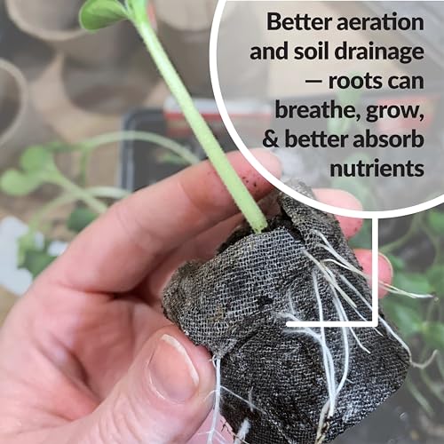 Image of 100 Count- Jiffy 36 MM Peat Soil Pellets Seeds Starting Plugs: Indoor Seed Starter- Start Planting Indoors for Transplanting to Garden or Planter Pot