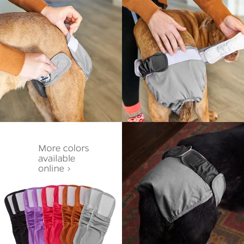 Pet Parents Premium Washable Dog Diapers & Extendrs, (3Pack) Of Female Dog Diapers & Male Dog Diapers, Color: Natural, Size: Medium Dog Diapers #TOP3