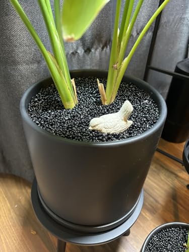 Image of SOUJOY 3 LB Small Aquarium Substrate Gravel Sand, Polished Smooth Fish Tank Gravel, Black Crystal Chip Stone, Natural Decorative Mini Pebbles for Potted Plant, Vase Fillers, Fish Tank Rock