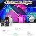 Honche Permanent Outdoor Lights Eaves Light House Light Outdoor Permanent Lights for Holiday,Party, Daily,Multicolor (mulito Color, 54ft with 36 Lights)