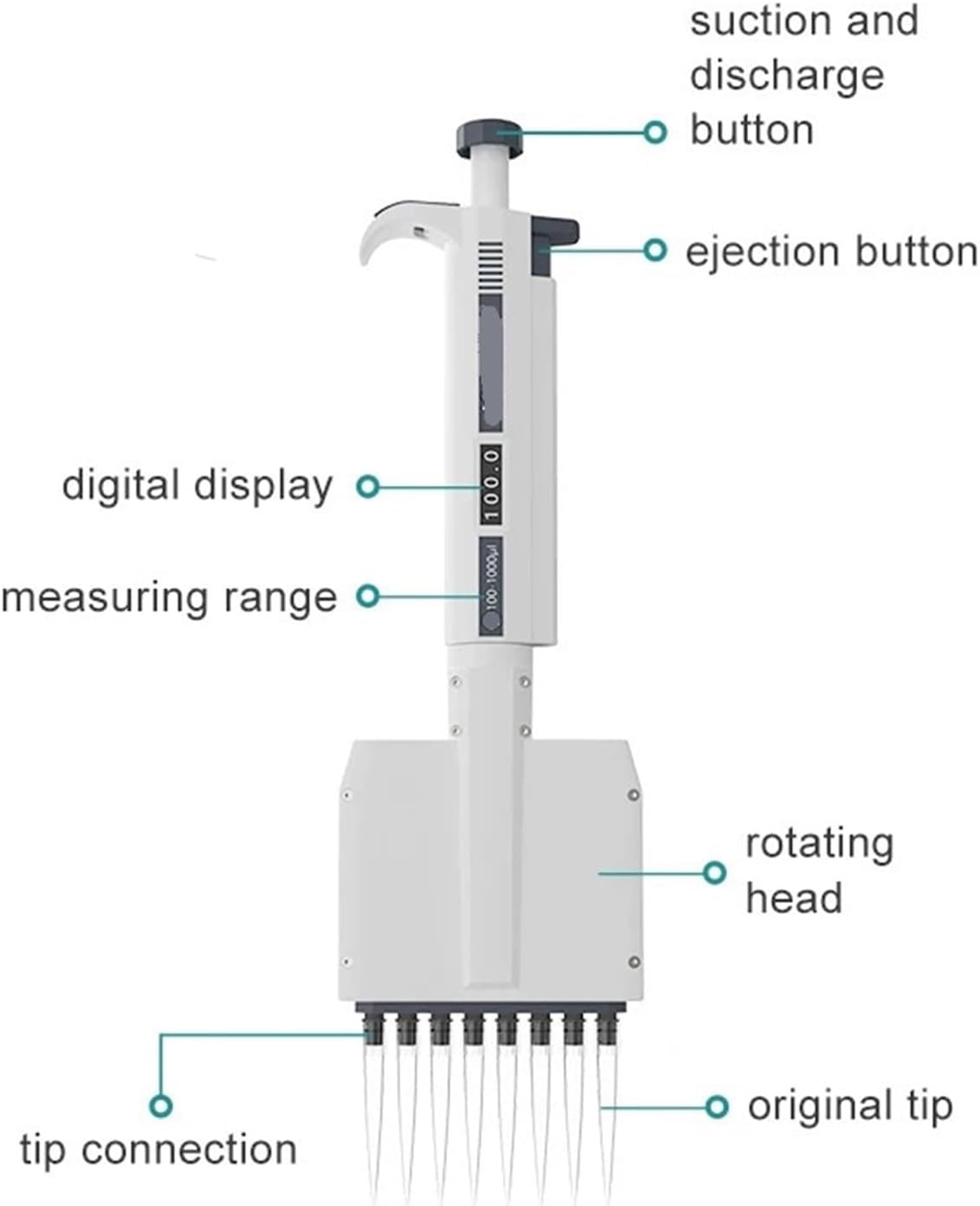 PSA10 姫 絹花 KR List of Japanese Lycee Over Ture Singles , Cards