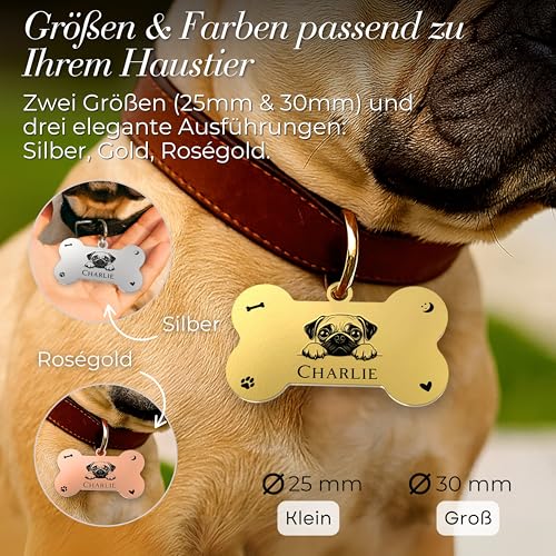 Hundemarke personalisiert – 52 Hunderassen Vorlagen – Knochenförmiges, Wasserdichtes Namensschild & Identifikationsmarke für Hunde