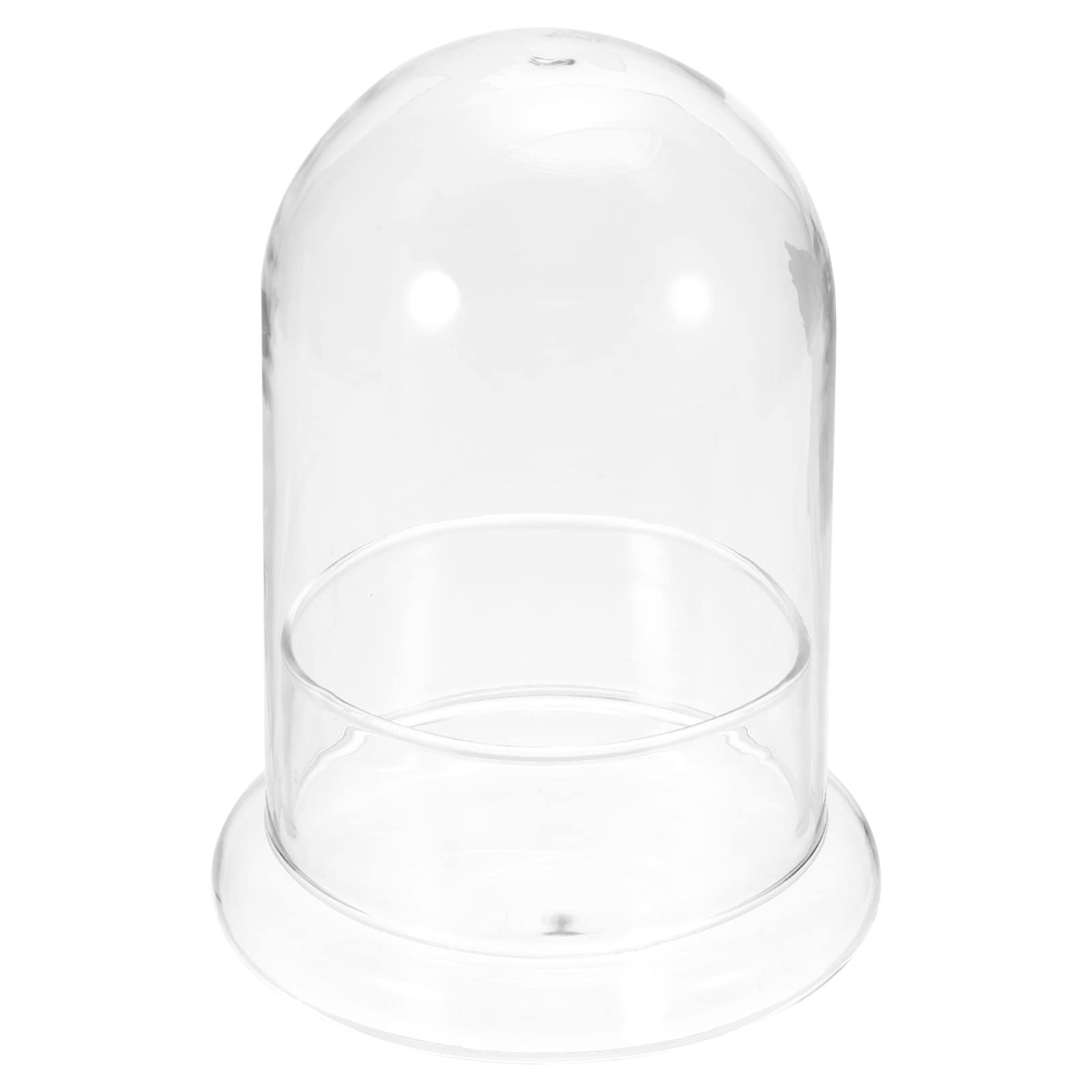 PATIKILTerrarium Air Plant Planter, High Borosilicate Glass Cloche Bell Jar Display Dome Cover Decorations for Succulent, Tillandsia, Clear