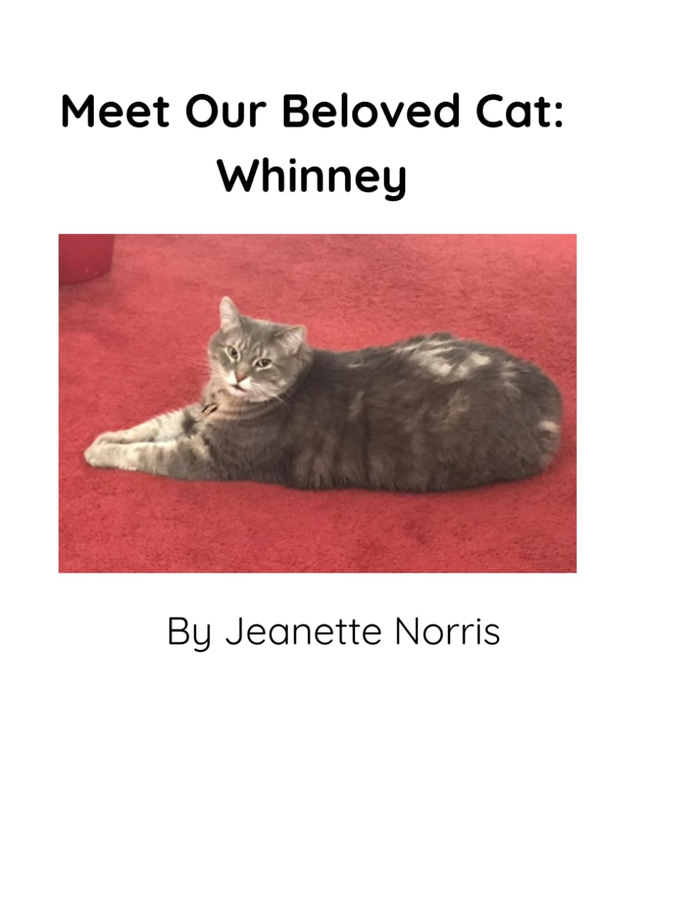 Meet Our Beloved Cat: Whinney: A Heartwarming Story with Real Photos for Young Readers