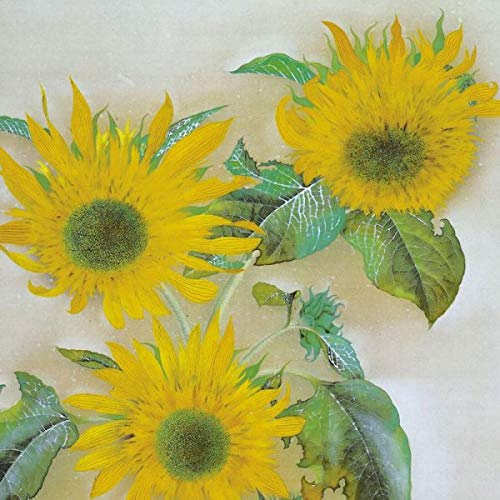 Amazon.co.jp: 速水御舟『向日葵』高精彩工芸画+手彩 花鳥画 静物画