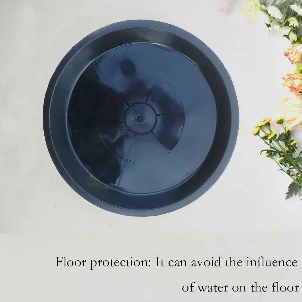 Singhoow Lot de 2 Pots de Fleurs en Verre Transparent de 15,2 cm avec Trou de Drainage et Plateau pour intérieur - Pots de Fleurs décoratifs Modernes en Verre pour Plantes d'extérieur