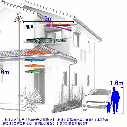Amazon | キング印鯉のぼり 鯉のぼり 庭用 瑞宝（五色流し） 3m 5匹8点