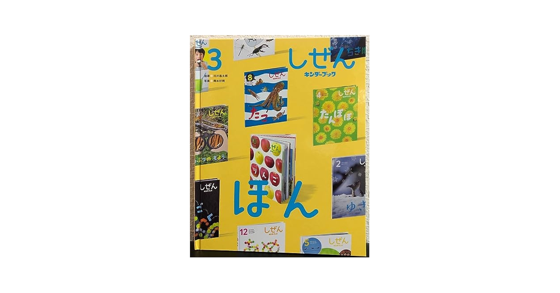 滝ぼん 三本滝 | 滝ペディア～日本の滝をめぐる～