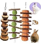 Bunny Chew Toys, Natural Organic Apple Wood Sticks with Timothy Balls Grass Cakes and Carrot Appl...