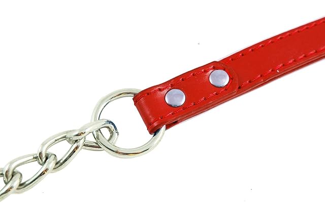 Foto 2 de 5 de BPS Cadena de Metal de Perros Mascotas con Control de Manija Correa para Pasear al perro