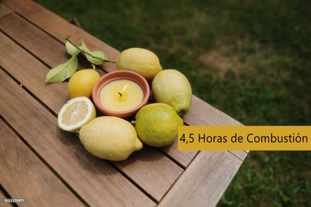 EbenEzer Velas de Té Citronela, Candle Perfumada con Citronela Antimosquitos, Extractos Naturales, para camping/hogar/picnic/terraza - Pack 60, 4,5 horas de combustión
