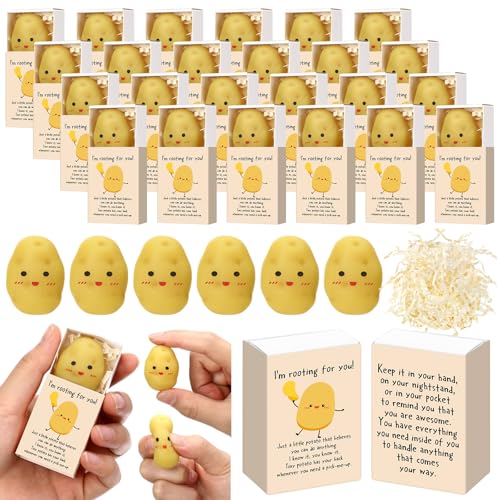 Wettarn 24 Sets Potato Support Gifts Cute Stress Balls with Gift Boxes Inspirational Party Favors for Employee Coworker Friends Office Positive Relief Desk Decor