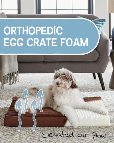 OhGeni 35 Inch Orthopedic Waterproof & Machine Washable Dog Bed with Egg Crate Foam Support, Non-Slip Bottom and Removable Pet Bed Cover for Extra Large, Large, Medium, Small Dogs (Brown)