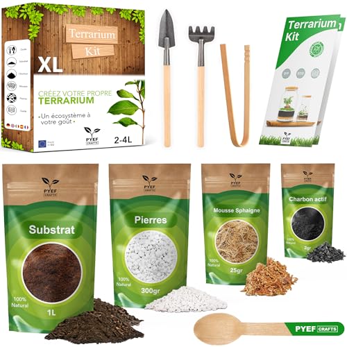 Kit Terrarium Plante DIY - Kit Prêt-à-Pousser pour la Création de Jardin en Bouteille - Prêt-Pousser Terrarium - Set pour Faire Pousser - sans la Plante...