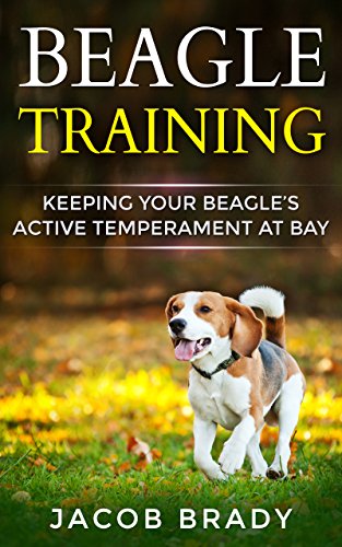 housebreaking a beagle