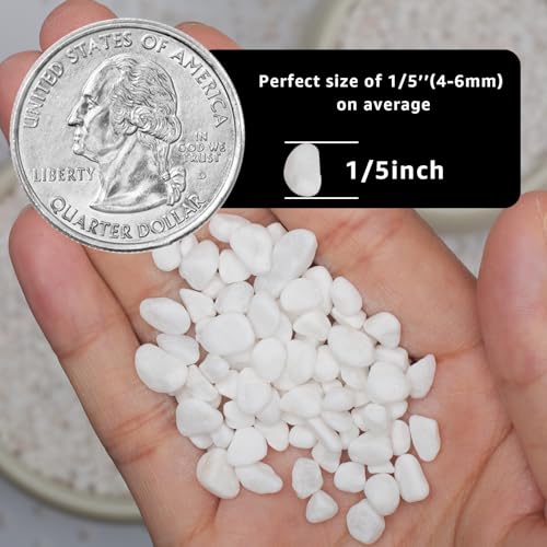 Image of 5lbs Natural Gravel Pebbles for Succulents and Cacti, 1 /5 Inch Decorative River Stones - Perfect for Vases, Aquariums, Terrariums, and Outdoor Gardening, Mixed Colors (White, 20 Pounds)