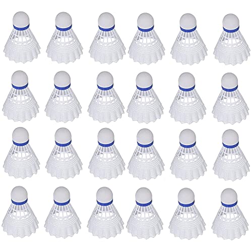 The Best Badminton Birdies Of 2022