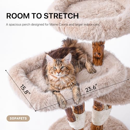 Árbol para gatos Sopapets Maine Coon con madera sólida y cojines removibles miniatura 2