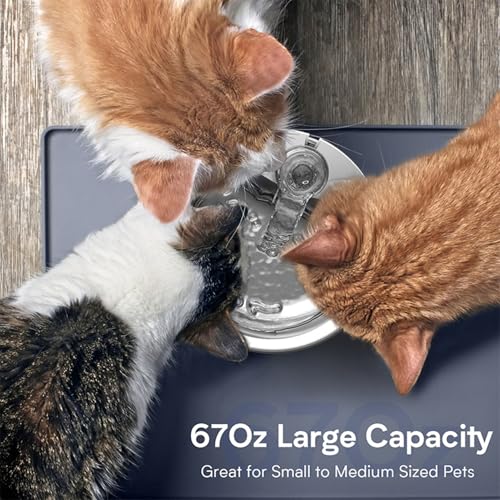 Fuente de agua automática para gato 2L acero inoxidable miniatura 5